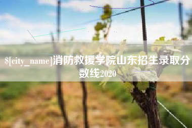 梅州消防救援学院山东招生录取分数线2020