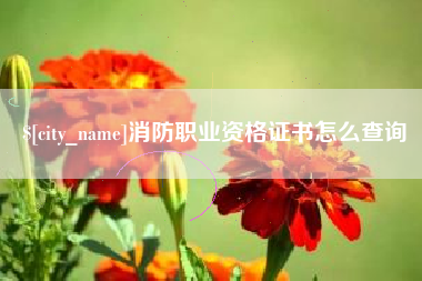 梅州消防职业资格证书怎么查询