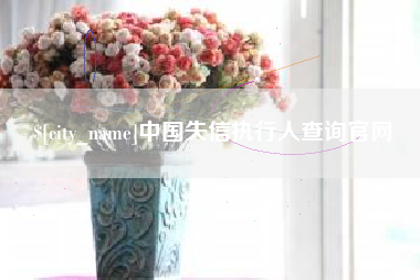 梅州中国失信执行人查询官网