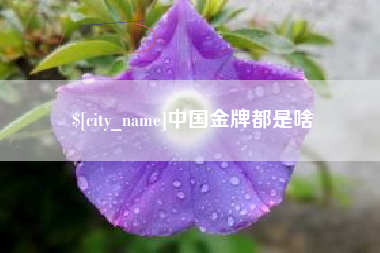 梅州中国金牌都是啥