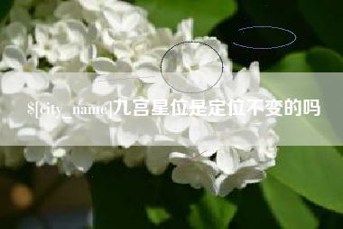 梅州九宫星位是定位不变的吗