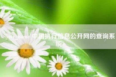 梅州中国执行信息公开网的查询系统