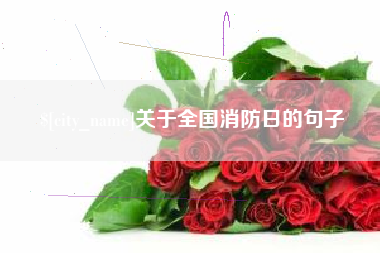 梅州关于全国消防日的句子
