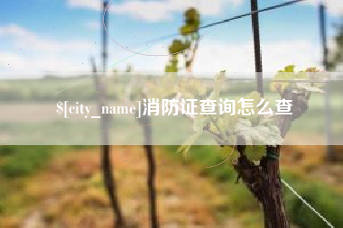 梅州消防证查询怎么查