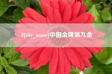 梅州中国金牌第九金