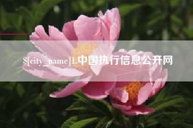 梅州1.中国执行信息公开网