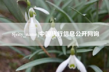 梅州中国执行信息公开网询