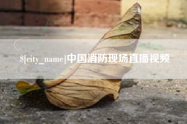 梅州中国消防现场直播视频