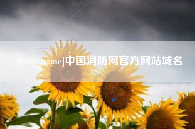 梅州中国消防网官方网站域名
