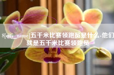 梅州五千米比赛领跑员是什么-他们就是五千米比赛领跑员