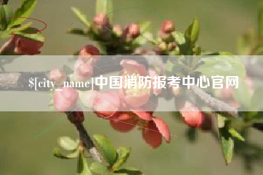 梅州中国消防报考中心官网