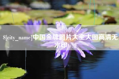 梅州中国金牌图片大全大图高清无水印