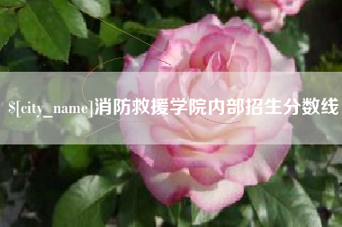 梅州消防救援学院内部招生分数线