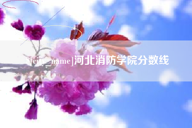 梅州河北消防学院分数线