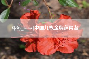 梅州中国九枚金牌获得者