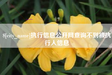 梅州执行信息公开网查询不到被执行人信息