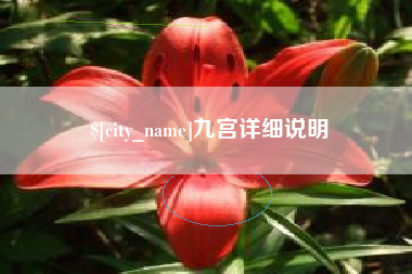 梅州九宫详细说明