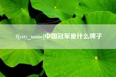 梅州中国冠军是什么牌子