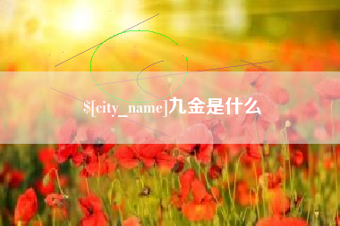 梅州九金是什么