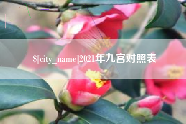 梅州2021年九宫对照表