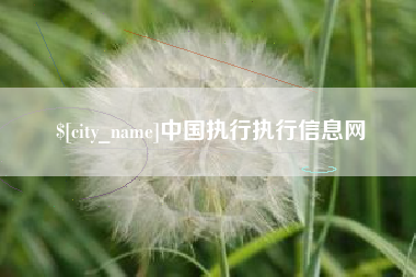 梅州中国执行执行信息网