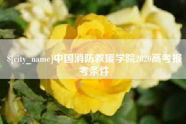 梅州中国消防救援学院2020高考报考条件