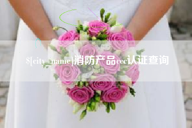 梅州消防产品ccc认证查询