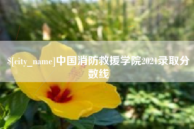 梅州中国消防救援学院2021录取分数线