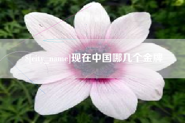 梅州现在中国哪几个金牌
