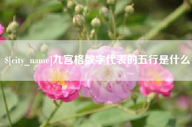 梅州九宫格数字代表的五行是什么