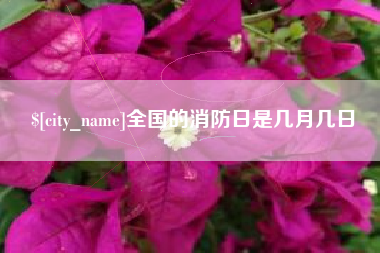 梅州全国的消防日是几月几日