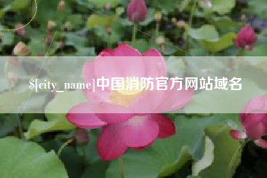 梅州中国消防官方网站域名