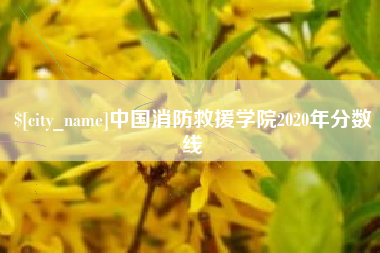 梅州中国消防救援学院2020年分数线