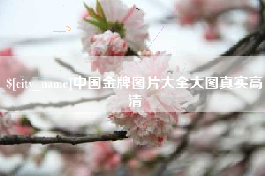 梅州中国金牌图片大全大图真实高清