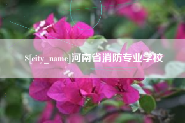 梅州河南省消防专业学校