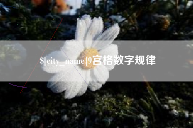 梅州9宫格数字规律