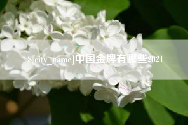 梅州中国金牌有哪些2021