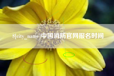 梅州中国消防官网报名时间