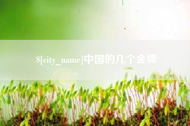 梅州中国的几个金牌