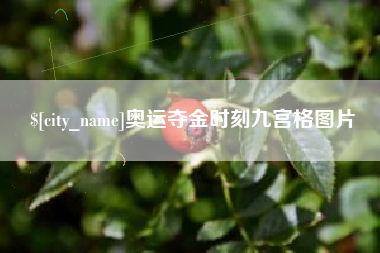 梅州奥运夺金时刻九宫格图片