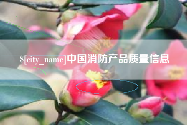 梅州中国消防产品质量信息