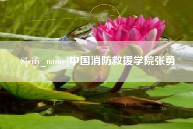 梅州中国消防救援学院张勇