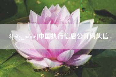 梅州中国执行信息公开网失信