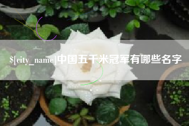 梅州中国五千米冠军有哪些名字