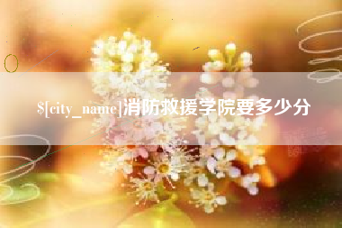 梅州消防救援学院要多少分