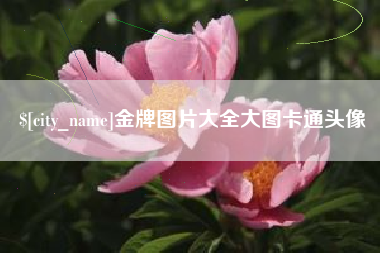 梅州金牌图片大全大图卡通头像