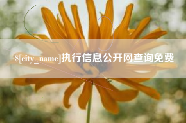 梅州执行信息公开网查询免费