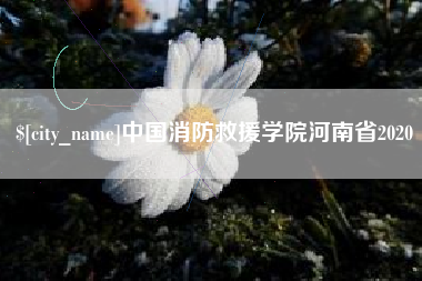 梅州中国消防救援学院河南省2020