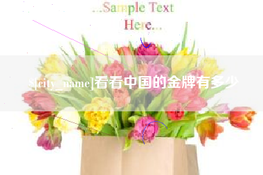 梅州看看中国的金牌有多少